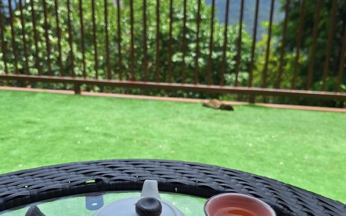 Wild Wolf den Homestay 野狼穴