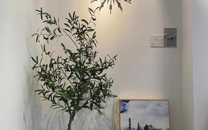 Duhaus: Stylish Retreat _BTW Airport & D1 Free WD