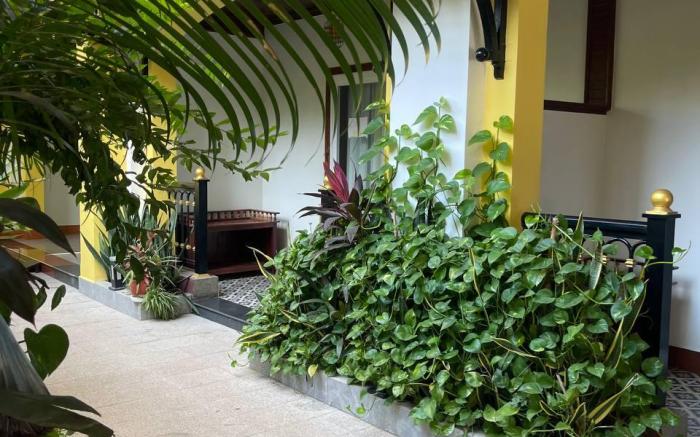 Sunflower Angkor Boutique Hotel