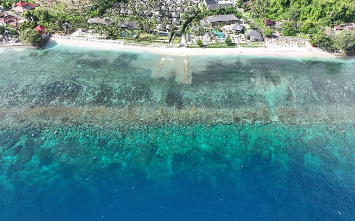 Seven Dreams A Pramana Experience