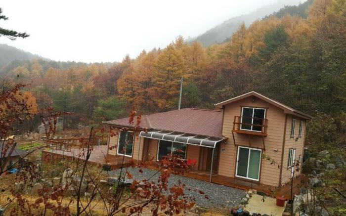 Danyang Sunflower Guesthouse