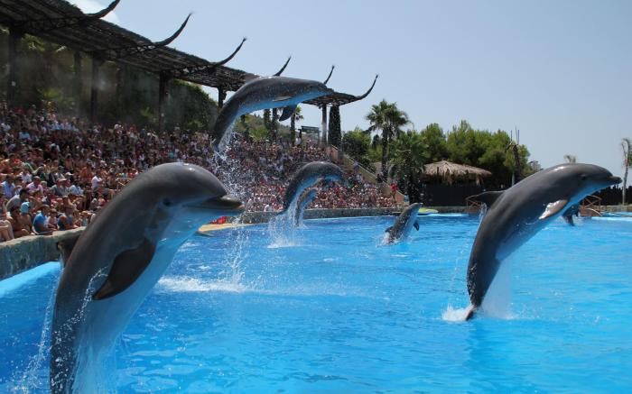 Four Points by Sheraton Costa Blanca Resort