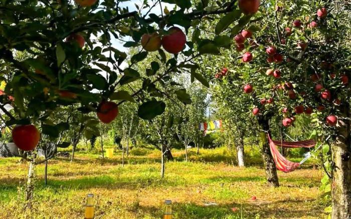 Kahaani | Luxury Wooden Chalet in Manali