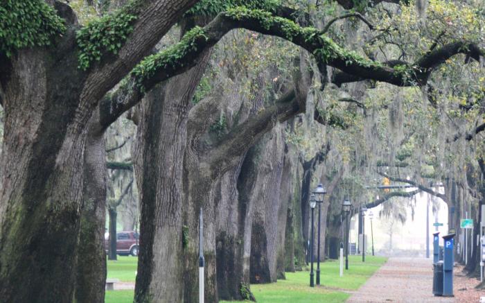 Hotel Indigo Savannah Historic District By IHG
