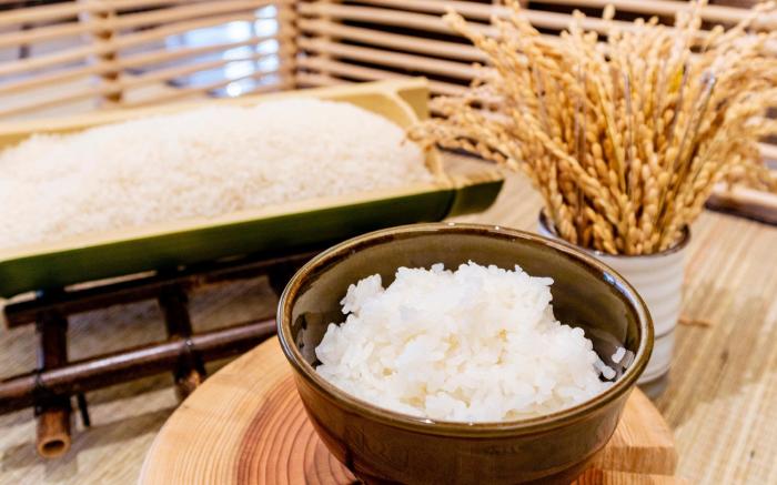 Hotel JAL City Sapporo Nakajimapark