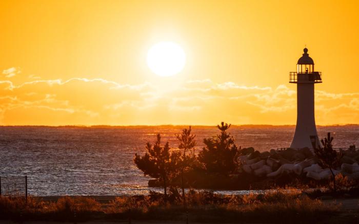 Gangneung Seojeong Camp Caravan
