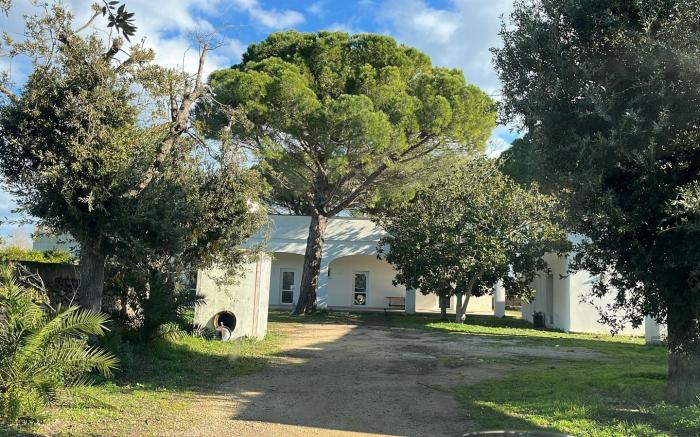 Tenute Masseria Notari  Borgagne