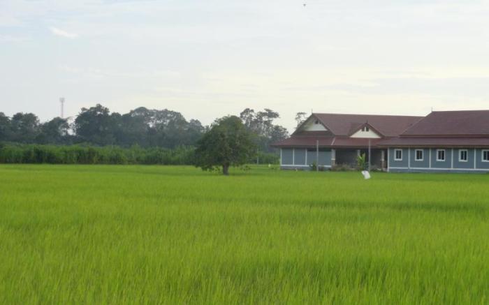 Nata Resort