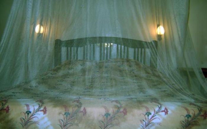 Palm Garden Home Stay