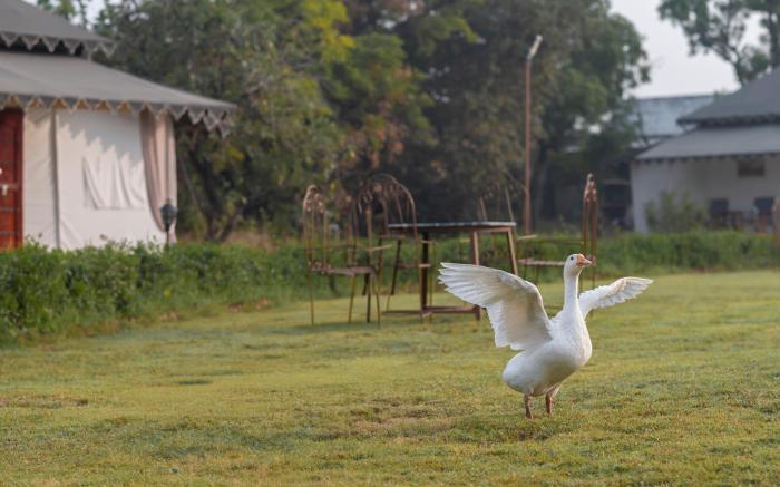 Atithi Luxury Resort
