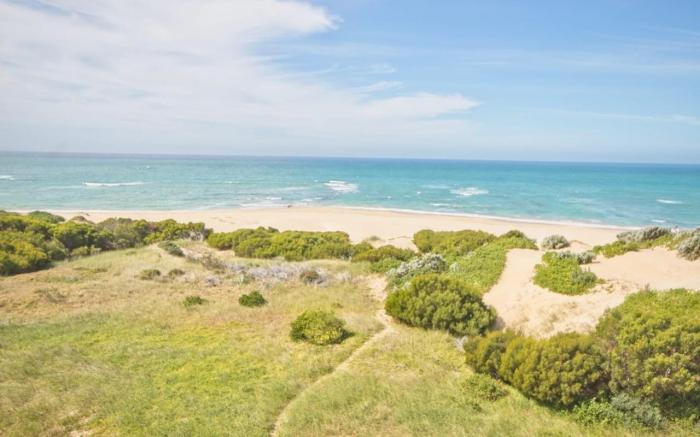 Milkwood Beachfront Acommodation 317,J'Bay