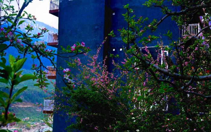 Orchard Heights, Manali
