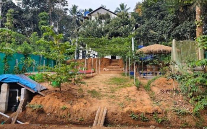 Loquat Inn Homestay
