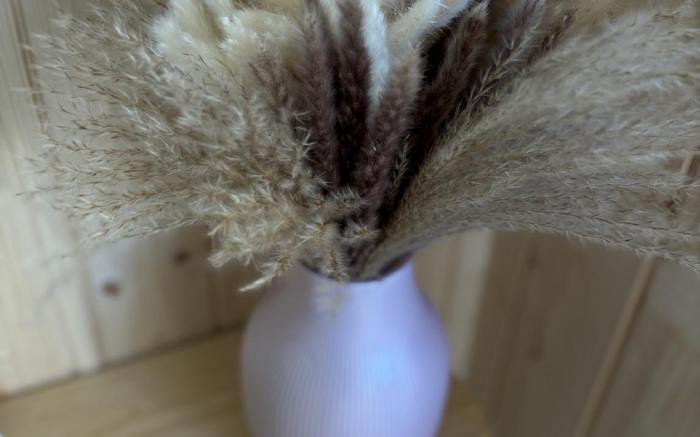 Au Coeur du Ranch: Chambres d'Hôtes dans le Médoc