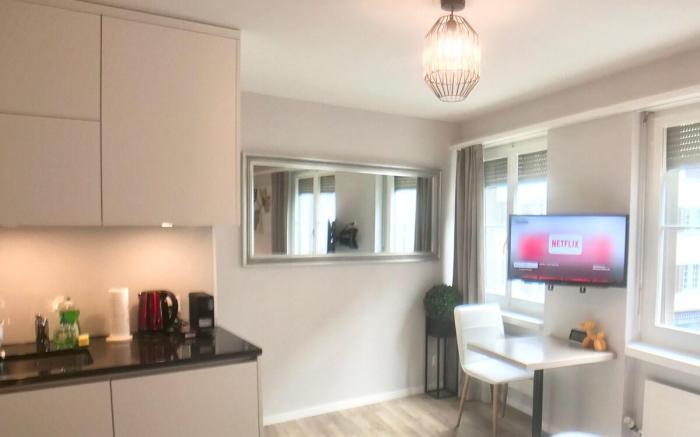 Studio Apt in Charming Zurich Old Town M07