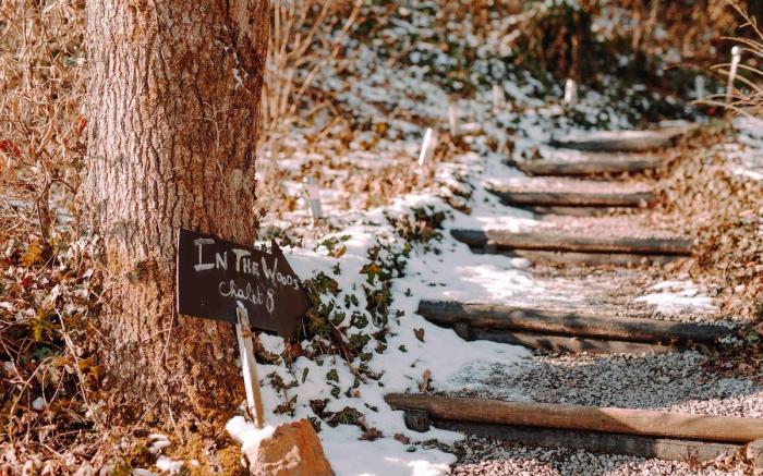 Cottage with a hot tub - In The Woods