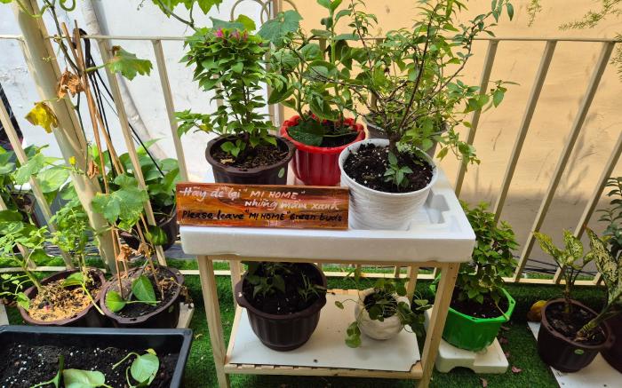 SÀI GÒN HOMESTAY MI