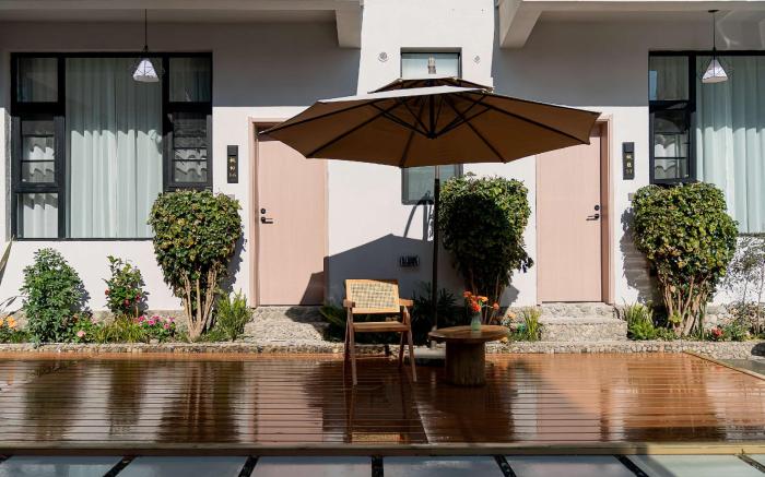 Wuyi Whispering Maple