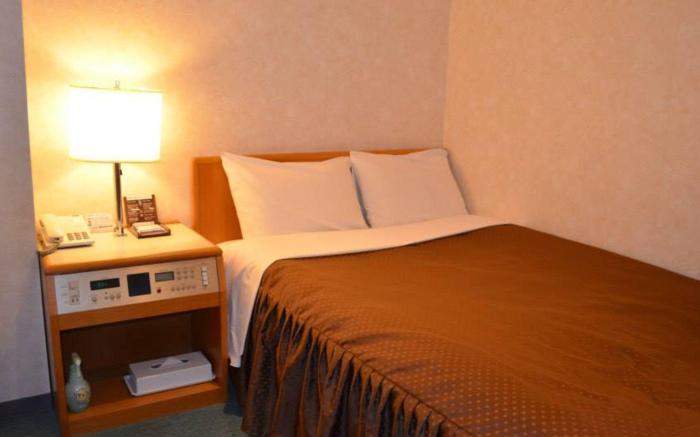Southern Cross In Matsumoto Guest House