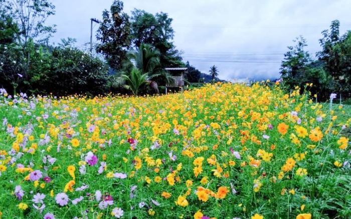 Nai Khun Khao Resort