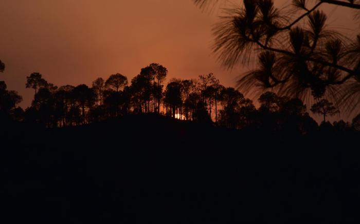 Splendid Retreat Homestay Kasauli