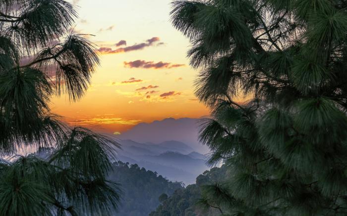 Splendid Retreat Homestay Kasauli