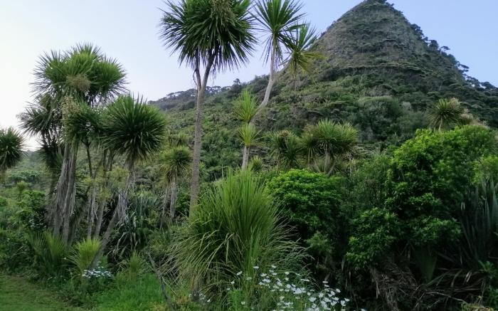 Piha Beachstay Accommodation