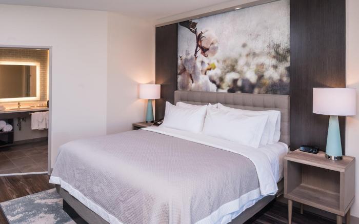 Hotel Indigo Frisco By IHG