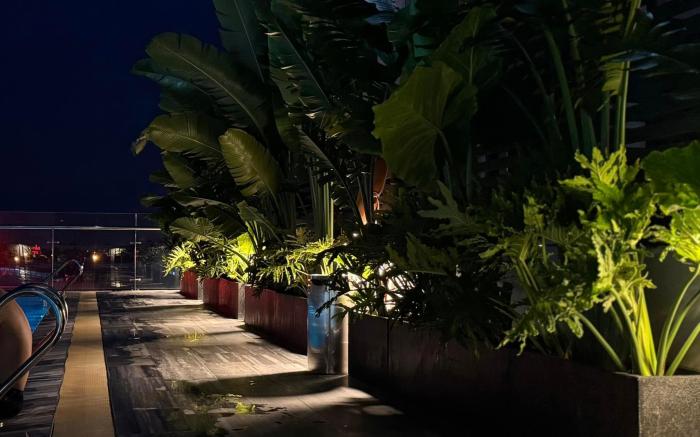 Sophia Center Apartment - The Duke Home