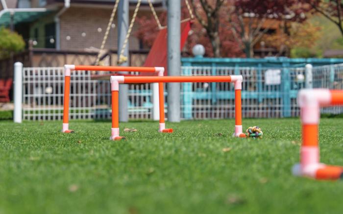 Gapeong Eoneunal Spa Pet Pension