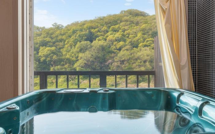 Gapeong Eoneunal Spa Pet Pension