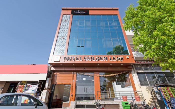 Collection O Golden Leaf