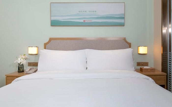 Vienna 3 Best Hotel Shijiazhuang Zhengding International Airport