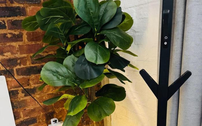 The Nook at Maboneng- 24hr security, WiFi, Cozy