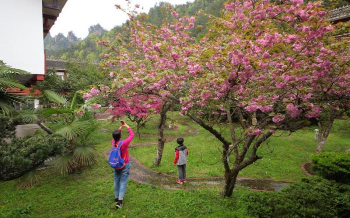 Hunan Pipaxi Hotel Zhangjiajie
