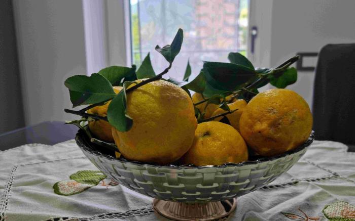 Casa Vacanze "Anna Holiday Home"