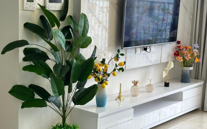C6 D’Capitale Hanoi -2BR 2Bath Luxury Apt – 