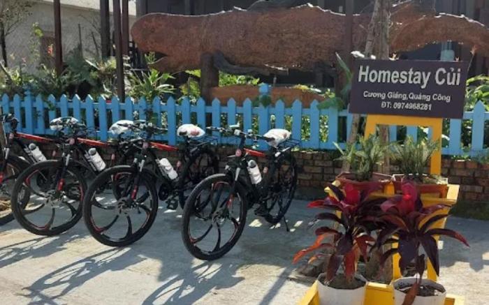 Homestay Củi