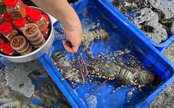 Pool Villa Phouc Truong - Beach Center