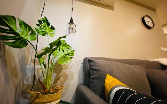花逢民宿/cat house/2bedroom/swiming pool/gym open