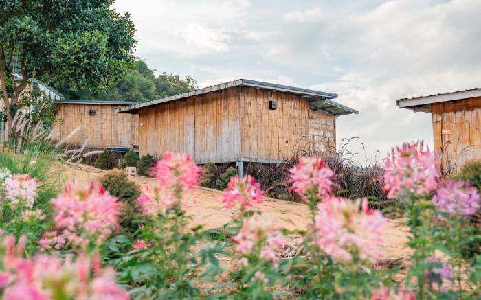 Long hug khao homestay