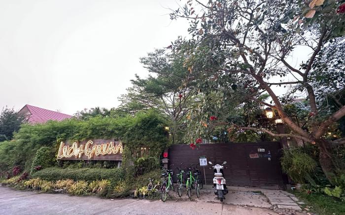 Leafy Greens Chiangmai