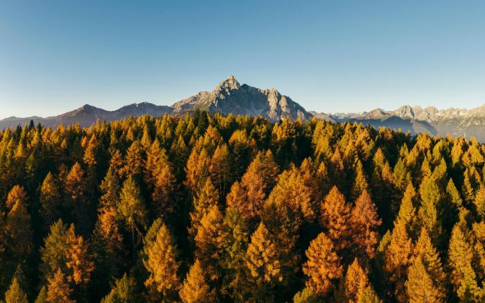 Lärchenlodge SkySpa and Whirlpool + Stubai Card