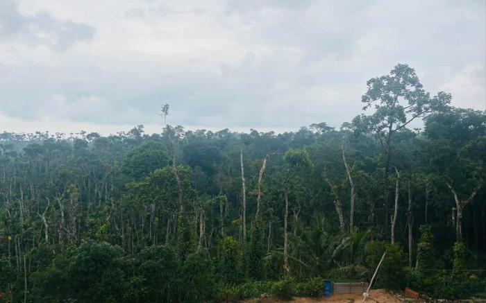 Malnad Hills Brew
