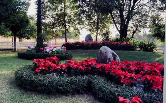 Khao Yai Country Hill Resort