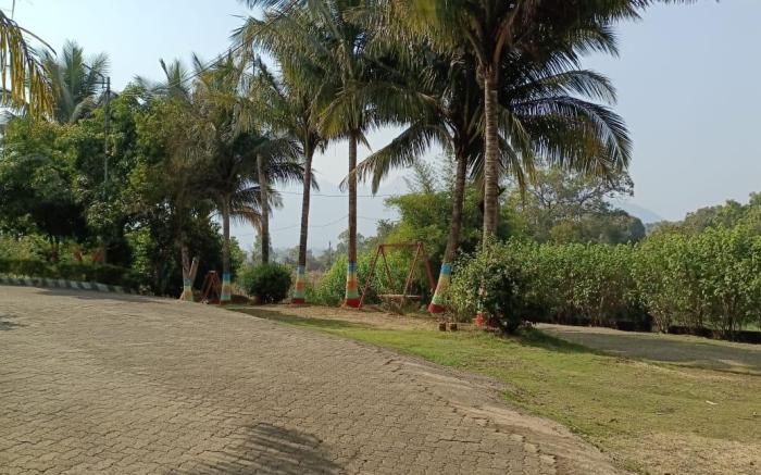 D N Patil Farm