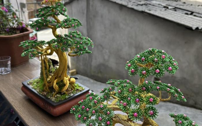 Bonsai Homestay 