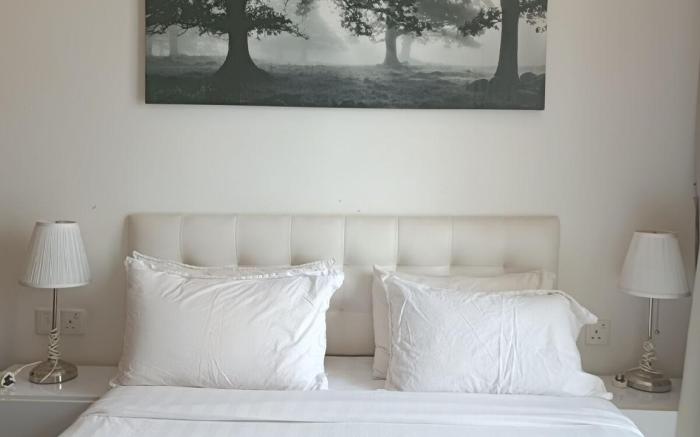 283 Bukit Bintang Studio | KL Tower Infinity Pool