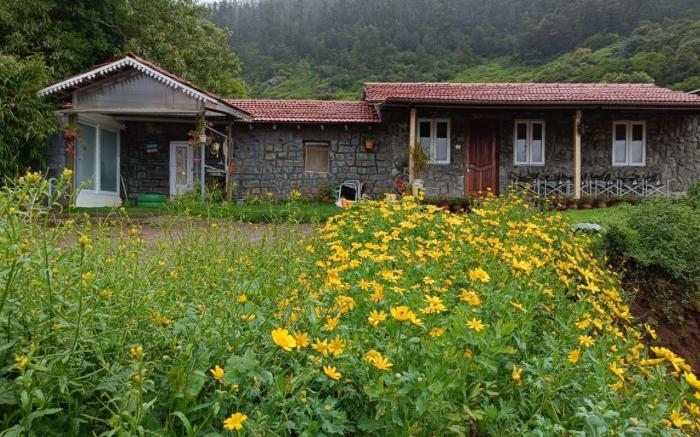 Wild and Free Farm Stay