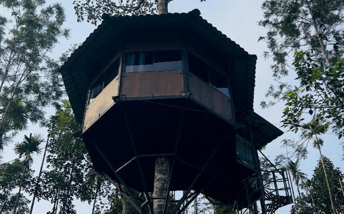 Lilliputhaven Tree hut 